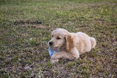 IMG_1333-w