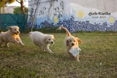 IMG_1340-w
