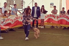 IMG_20190512_223944_744
