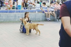 IMG_20190609_091433_416