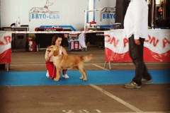 IMG_20190712_104532_540