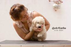 IMG_2611-w