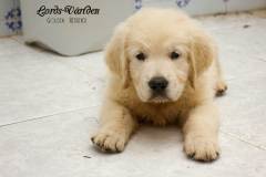 IMG_2671-w