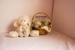IMG_2008-w