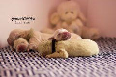 IMG_2051-w