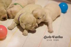 IMG_2078-w