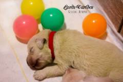 IMG_2088-w