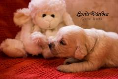 IMG_2122-w