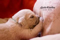 IMG_2166-w