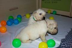 IMG_2307-w