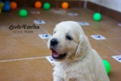 IMG_2391-w