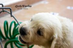 IMG_2401-w