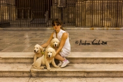 IMG_2778-w