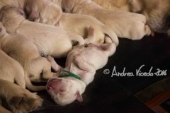 IMG_0591-m1