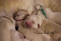 IMG_0598-m1