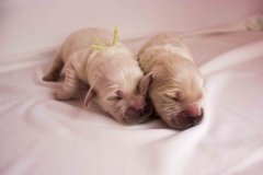 IMG_0628-m2