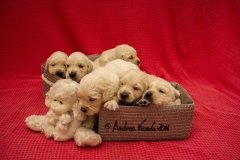 IMG_0825-w