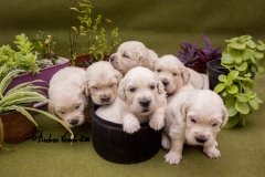 IMG_0862-w