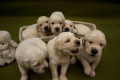 IMG_0877-w