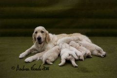 IMG_0888-w