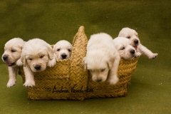IMG_0905-w