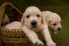 IMG_0943-w