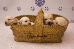 IMG_0975-w
