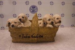 IMG_0981-w