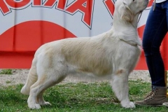 11149394_462555033901187_5607841430441386396_n1 m