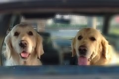 IMG_20160414_083835745 m