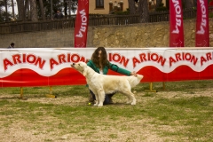 IMG_8182 mod
