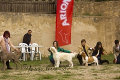 IMG_8418 mod1