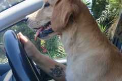 IMG-20210718-WA0017