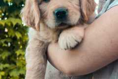 Astrid-y-Eddy-8w-7