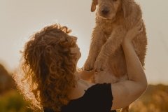 SesionGoldenRetrievers_LordsVarlden_2-240623-121