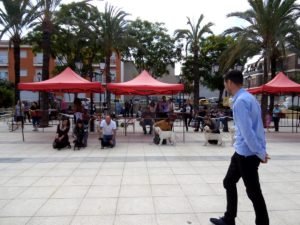 Lote de cria en el concurso de Aspe
