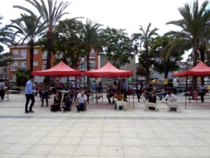 Lote de cria en el concurso de Aspe