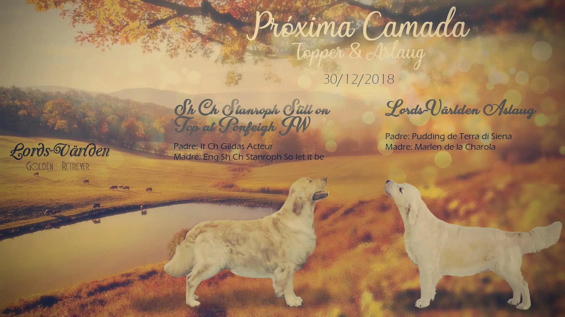 Camada Aslaug y Topper