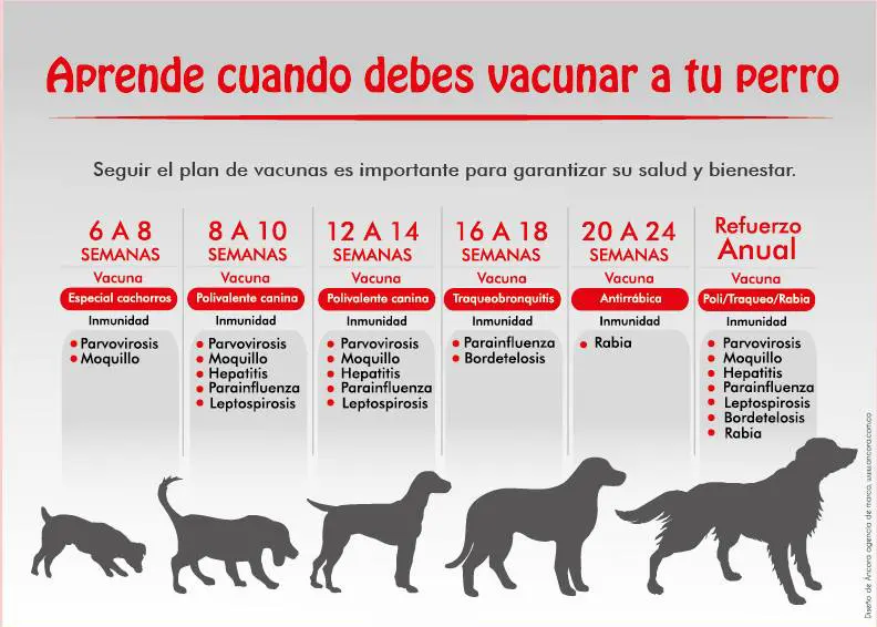 Calendario de vacunación