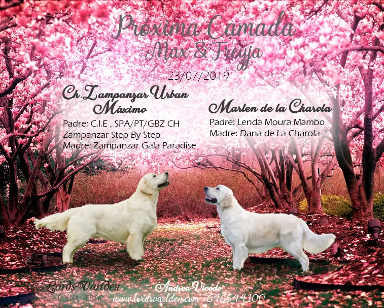 Camada Freyja y Max