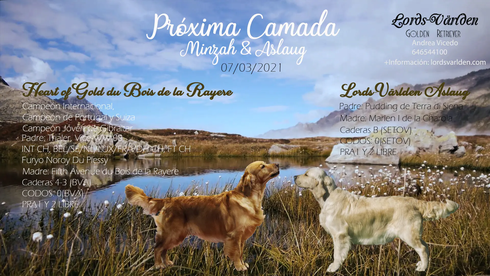Camada Aslaug y Minzah