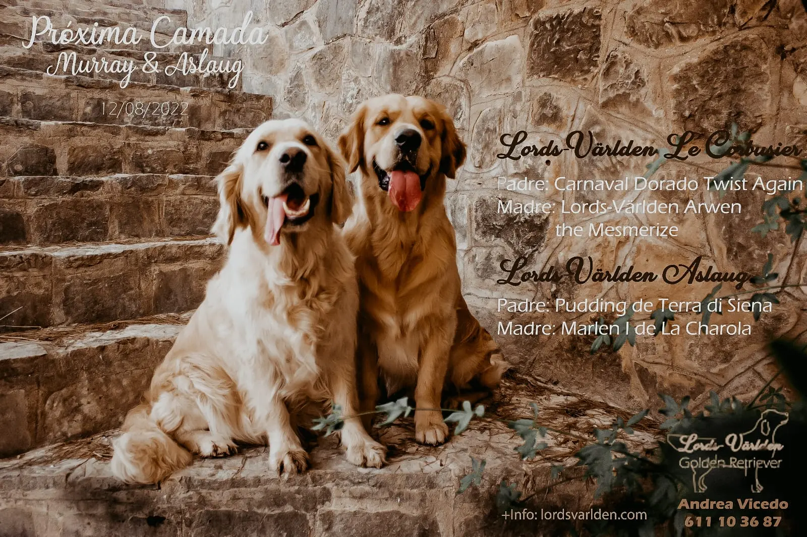 Camada Aslaug y Murray