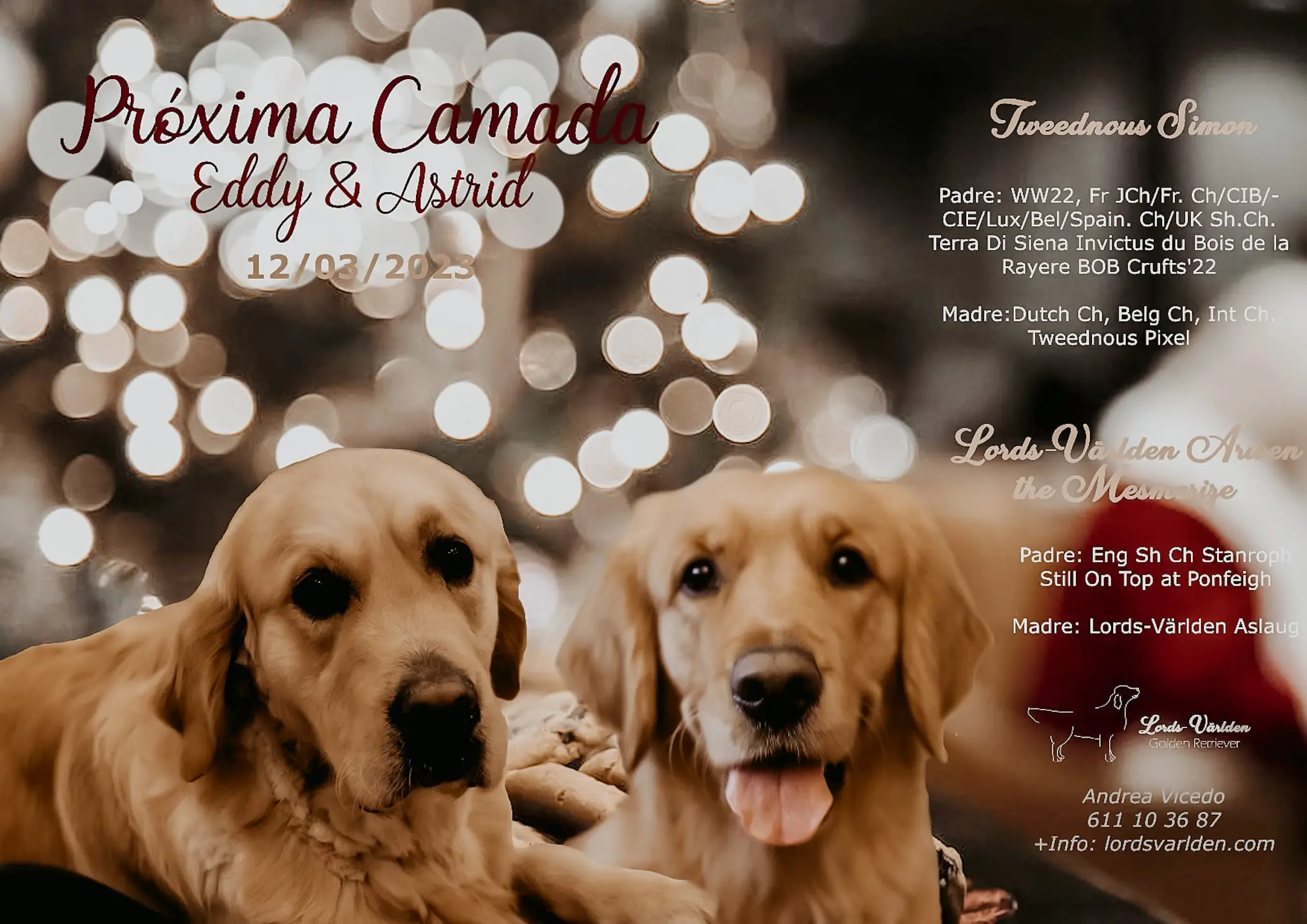 Camada Astrid y Eddy