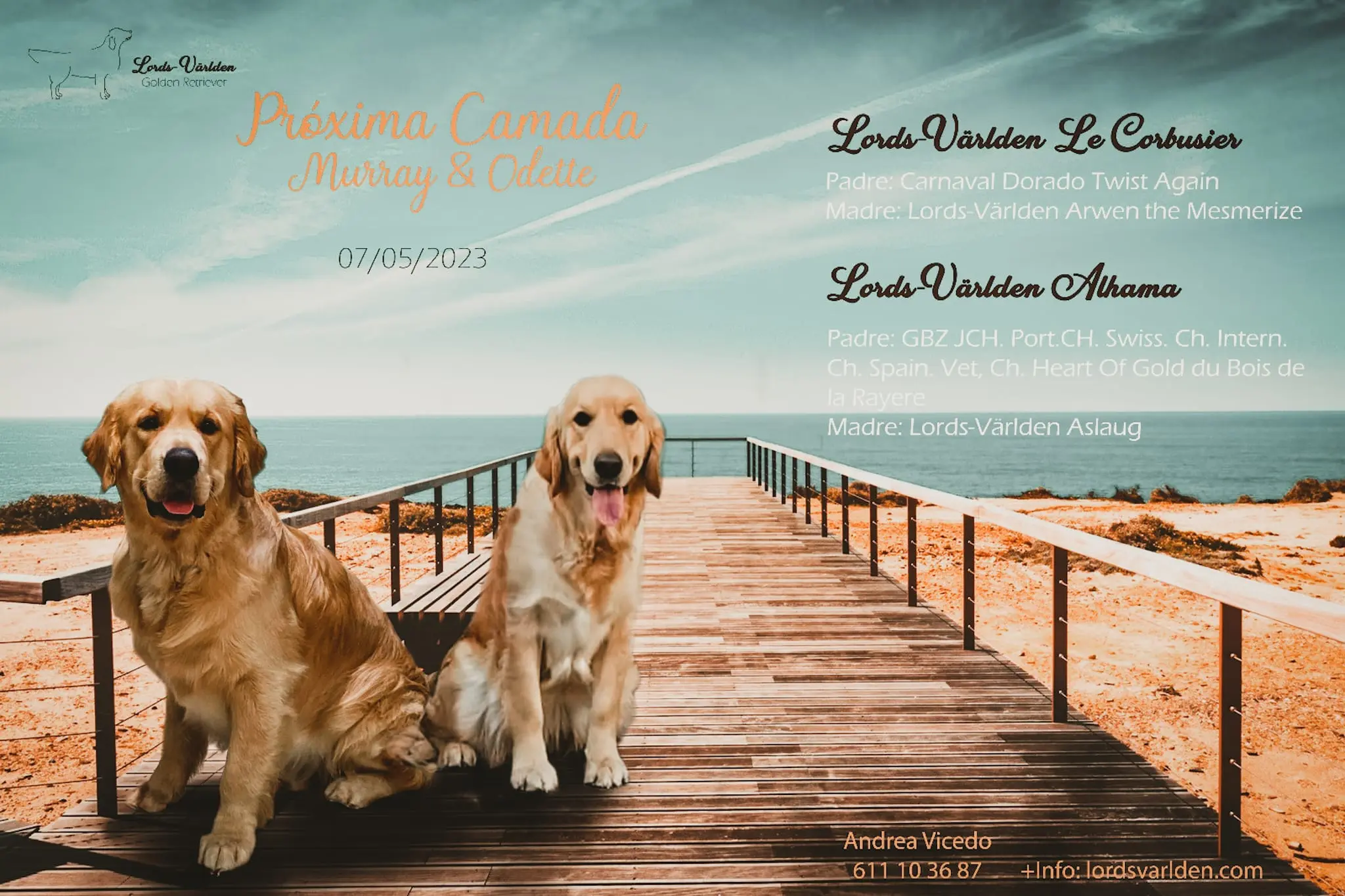 Camada Odette y Murray