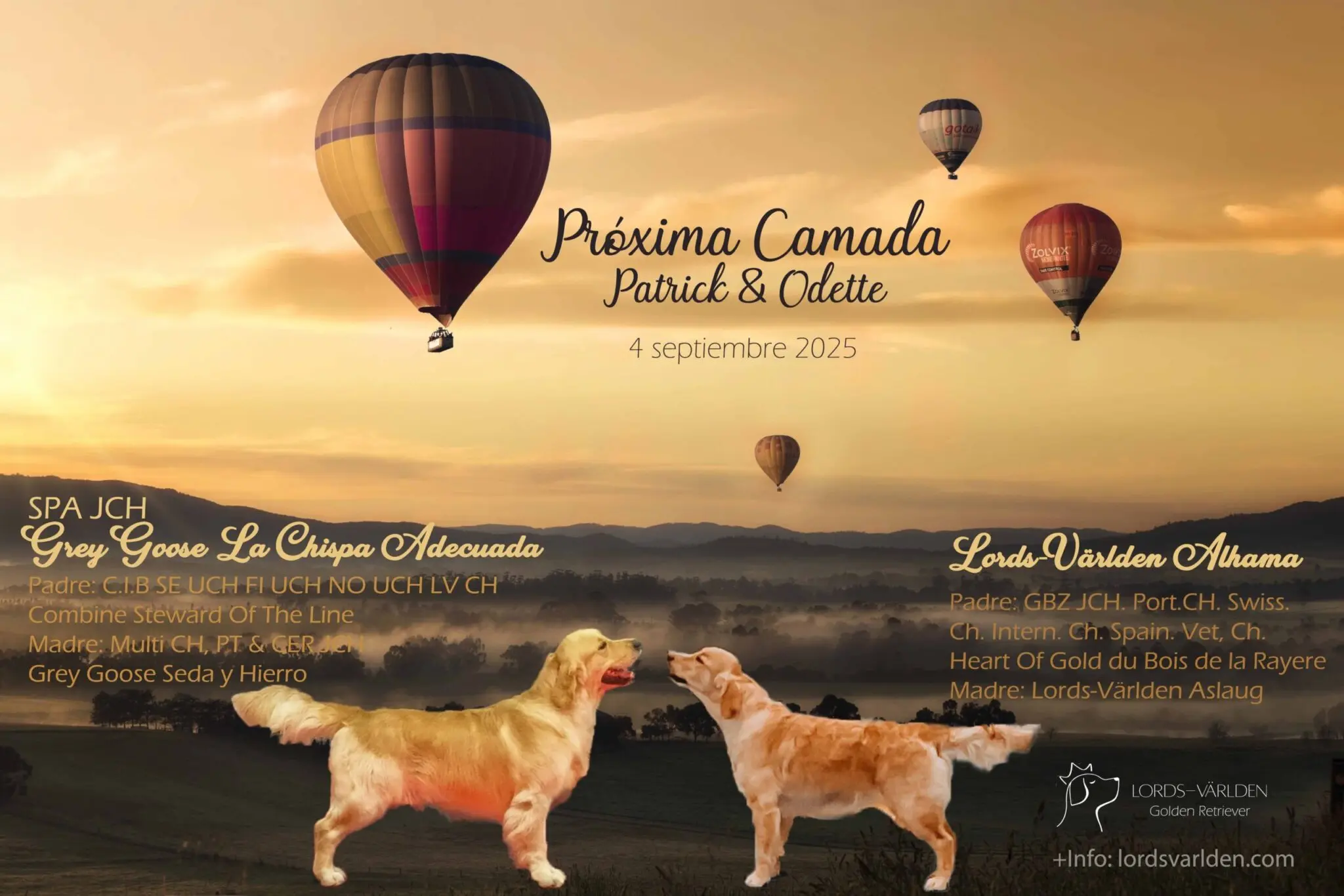 Cartel cachorros de Patrick y Odette