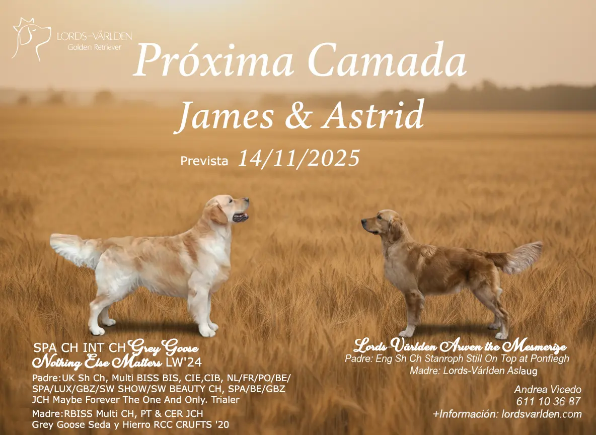 Cartel cachorros de James y Astrid