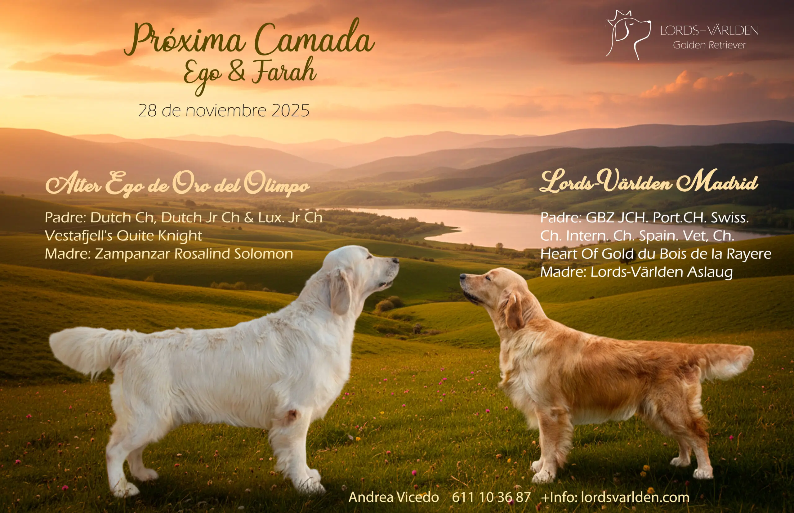 Cartel cachorros de Farah y Ego